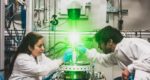 Beamline ESRF Synchrotron Zonda S positioning sample and detector